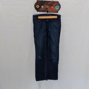 LOFT Modern Straight Petite Jeans